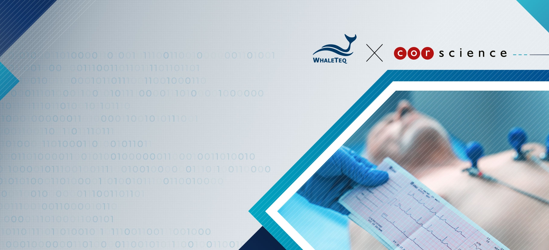 WhaleTeq Has Been Authorized to Market the CTS Database
