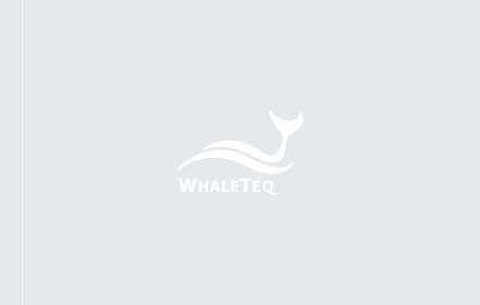 First Time Using WhaleTeq Product